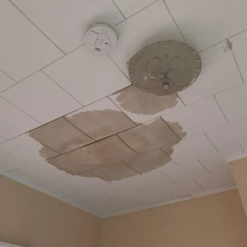 Ceiling Water Damage Repair in Postville, IA