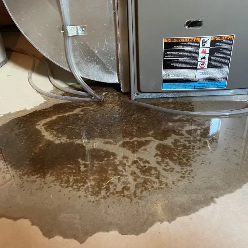 Pipe Burst and Leak Restoration in Postville, IA